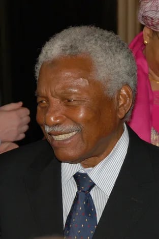 Portrait of Ali Hassan Mwinyi (1925–2024) – memorial page