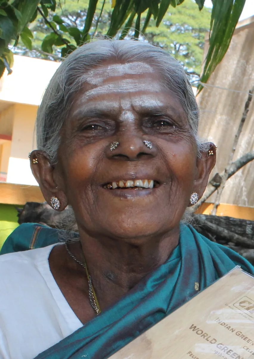 Portrait of Saalumarada Thimmakka (1911–2025) – memorial page
