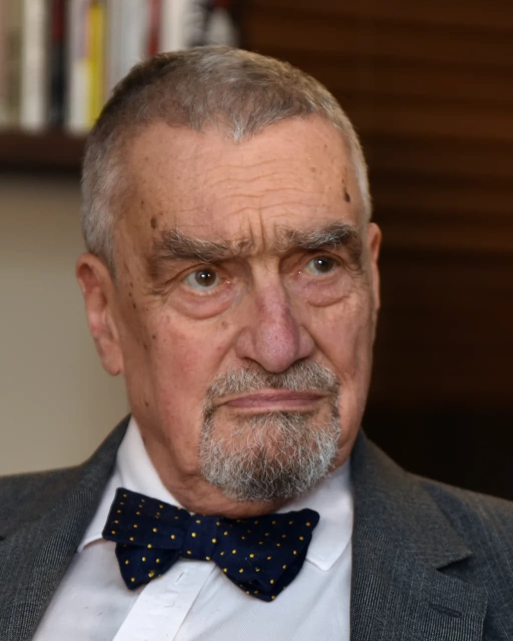 Karl zu Schwarzenberg
