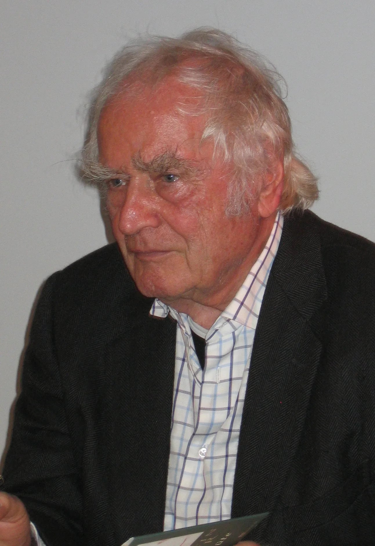 Portrait of Martin Walser (1927–2023) – memorial page