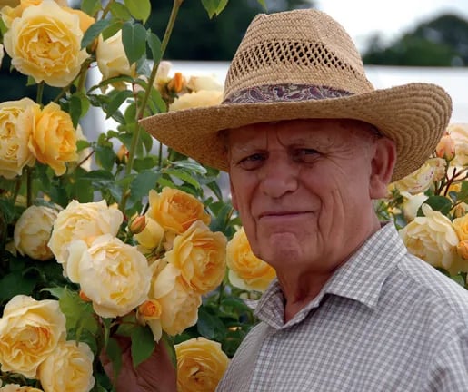 Portrait of David C. H. Austin (1926–2018) – memorial page