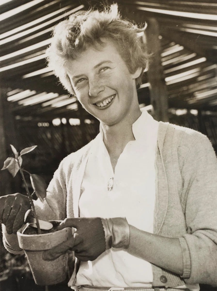Portrait of Betty Cuthbert (1938–2017) – memorial page