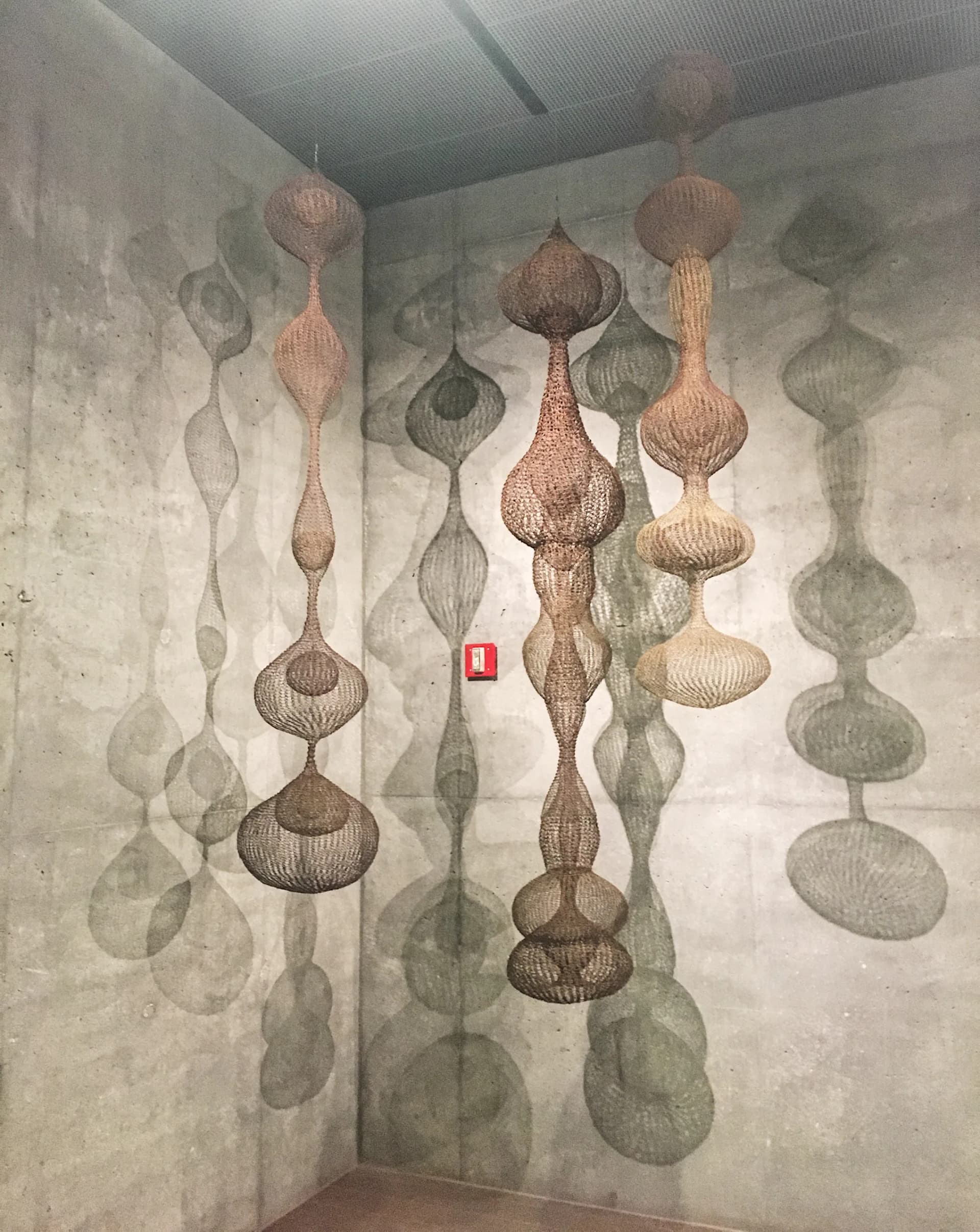 Ruth Asawa