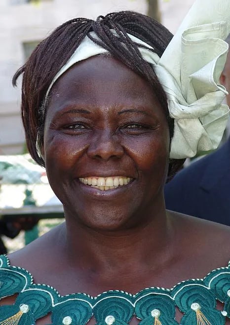 Porträt von Wangari Maathai (1940–2011) – Gedenkseite