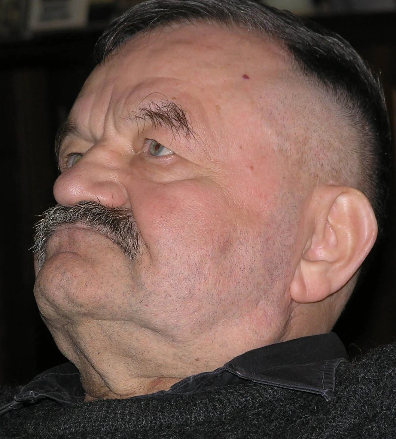 Porträt von Alfred Hrdlicka (1928–2009) – Gedenkseite
