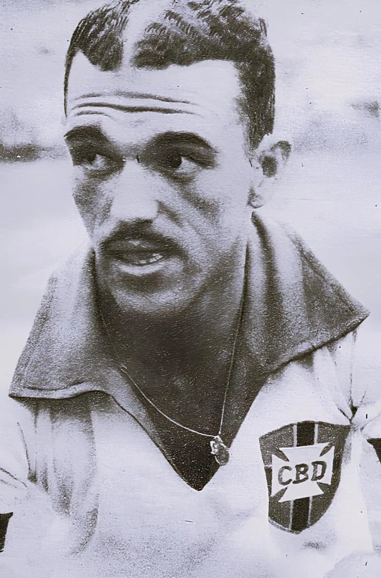 Portrait of Jair da Rosa Pinto (1921–2005) – memorial page