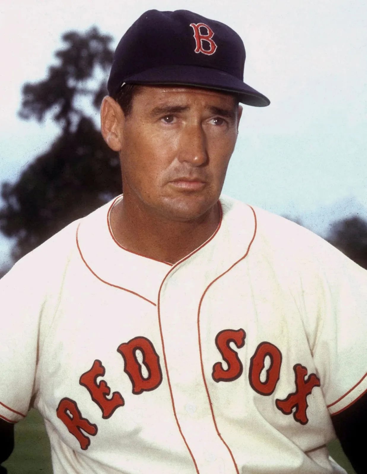 Porträt von Ted Williams (1918–2002) – Gedenkseite