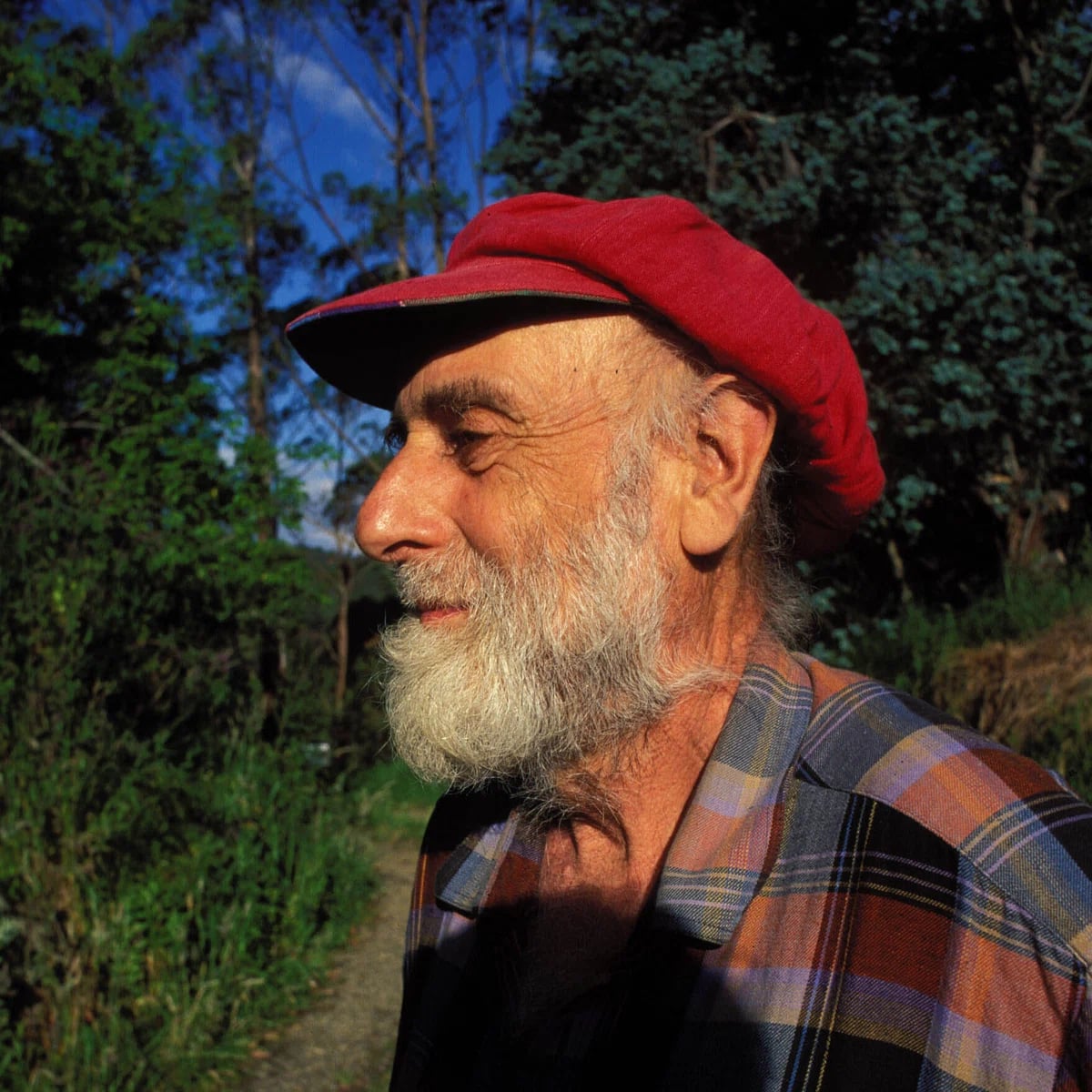 Porträt von Friedensreich Hundertwasser (1928–2000) – Gedenkseite