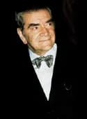Bruno Zevi