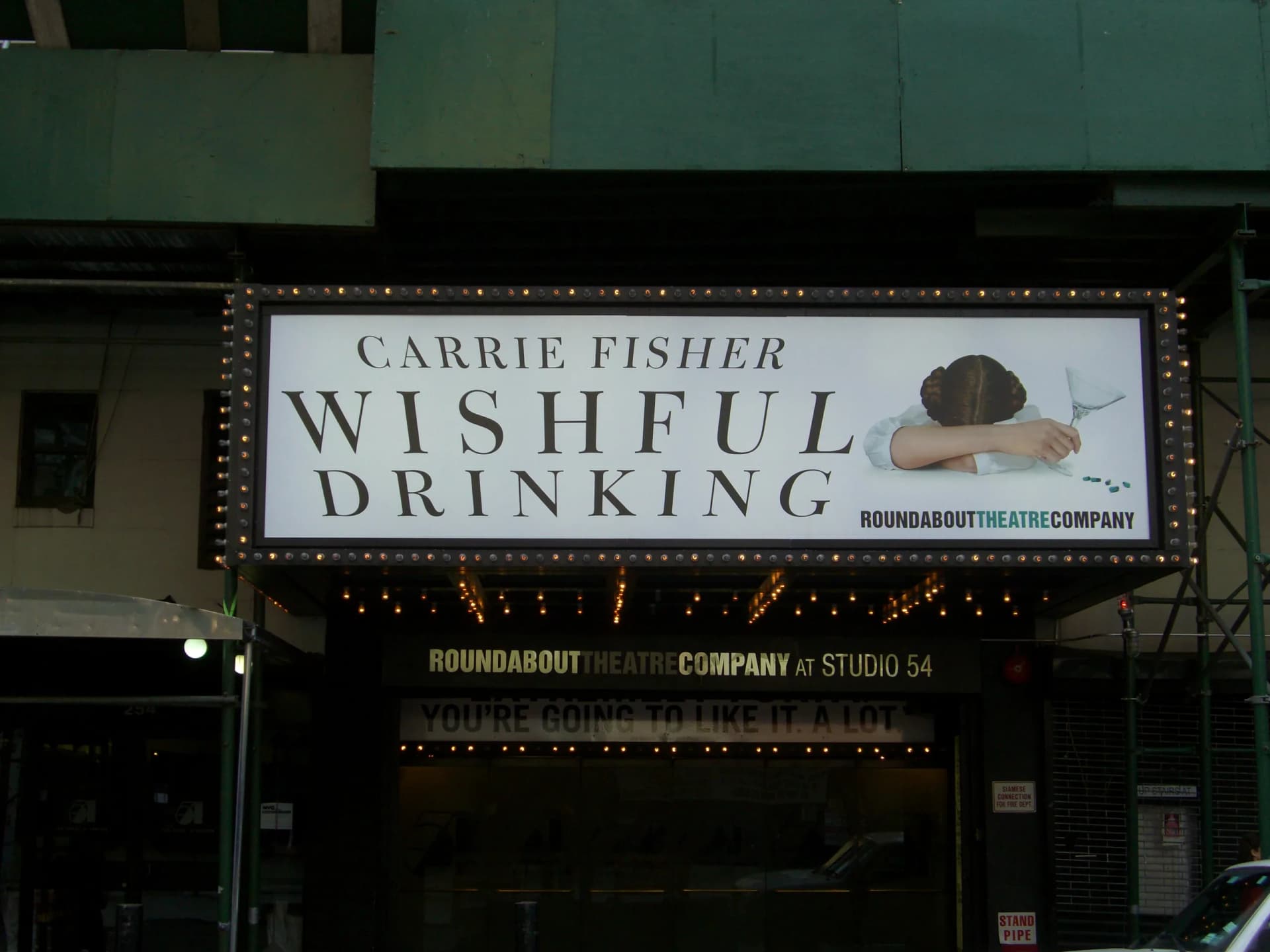 Gedenkseite von Carrie Fisher