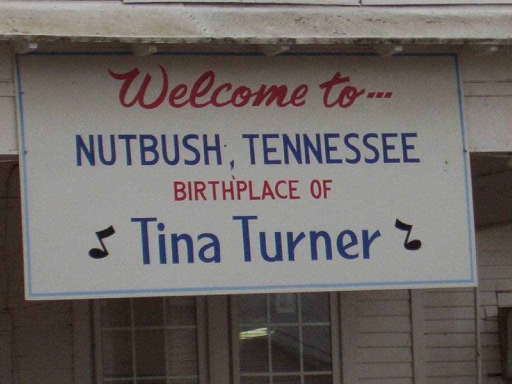 Memorial page of Tina Turner