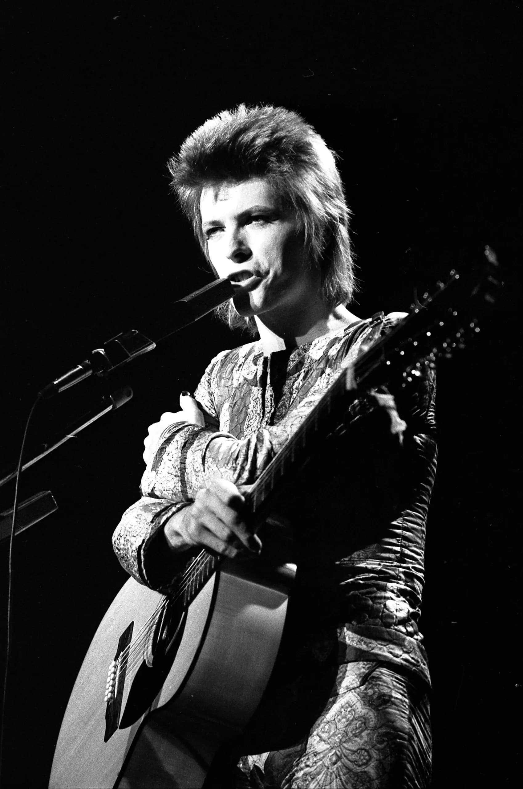 Gedenkseite von David Bowie